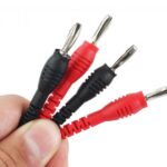 PONTA JACARÉ